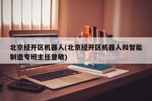 北京经开区机器人(北京经开区机器人和智能制造专班主任曾敏)