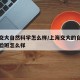 上海交大自然科学怎么样/上海交大的自然科学实验班怎么样
