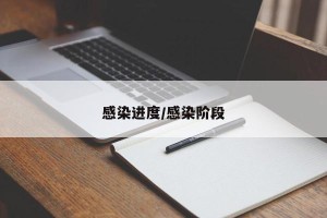 感染进度/感染阶段