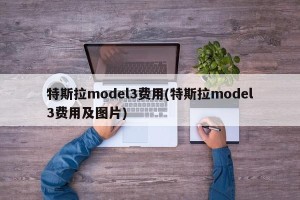 特斯拉model3费用(特斯拉model3费用及图片)