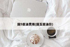 国5柴油费用(国五柴油价)