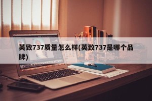英致737质量怎么样(英致737是哪个品牌)
