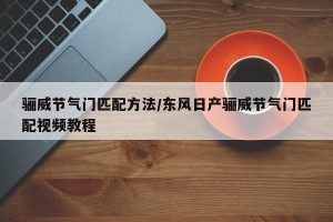 骊威节气门匹配方法/东风日产骊威节气门匹配视频教程
