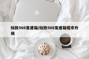 标致508变速箱/标致508变速箱程序升级
