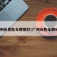 广州白黑色车牌限行(广州白色车牌kn)