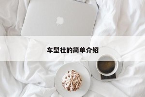 车型壮的简单介绍