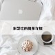 车型壮的简单介绍