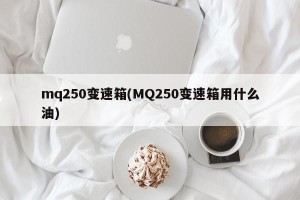 mq250变速箱(MQ250变速箱用什么油)