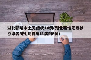 湖北新增本土无症状14例(湖北新增无症状感染者9例,现有确诊病例6例)