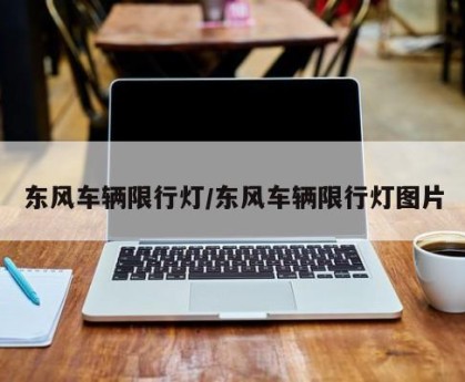 东风车辆限行灯/东风车辆限行灯图片