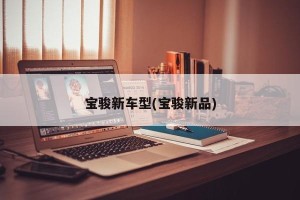 宝骏新车型(宝骏新品)