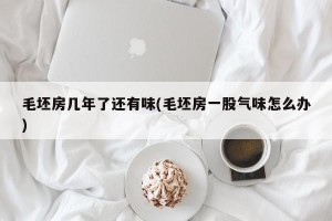 毛坯房几年了还有味(毛坯房一股气味怎么办)