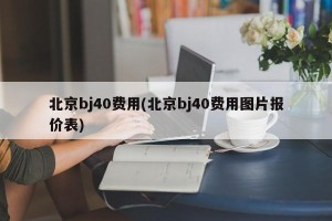 北京bj40费用(北京bj40费用图片报价表)