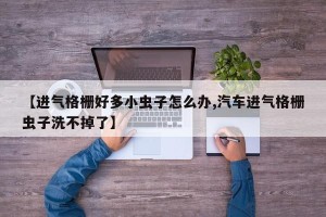 【进气格栅好多小虫子怎么办,汽车进气格栅虫子洗不掉了】