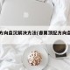 睿翼方向盘沉解决方法(睿翼顶配方向盘功能)