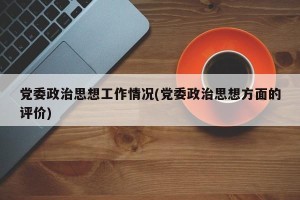 党委政治思想工作情况(党委政治思想方面的评价)