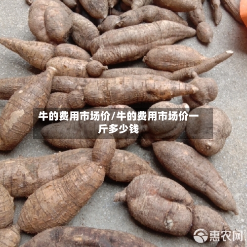 牛的费用市场价/牛的费用市场价一斤多少钱-第2张图片