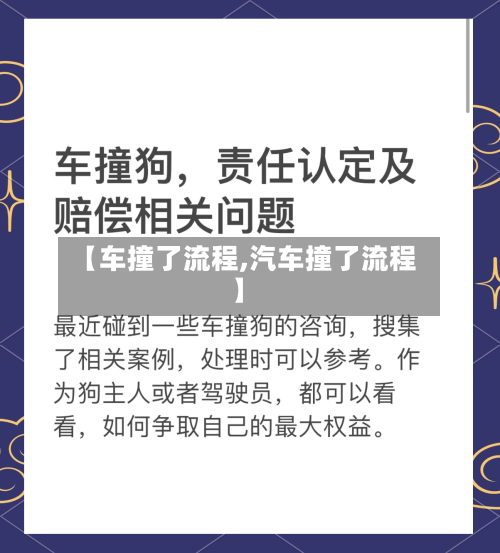 【车撞了流程,汽车撞了流程】-第3张图片