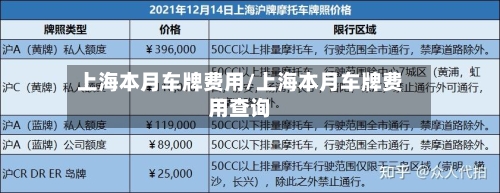 上海本月车牌费用/上海本月车牌费用查询