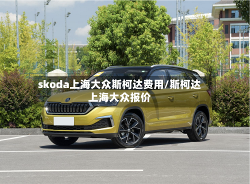 skoda上海大众斯柯达费用/斯柯达上海大众报价-第3张图片
