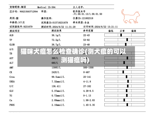 猫咪犬瘟怎么检查确诊(测犬瘟的可以测猫瘟吗)-第2张图片