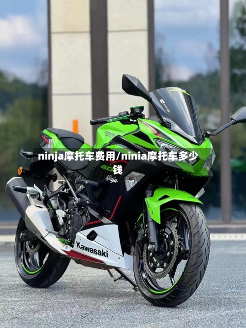ninja摩托车费用/ninia摩托车多少钱-第2张图片