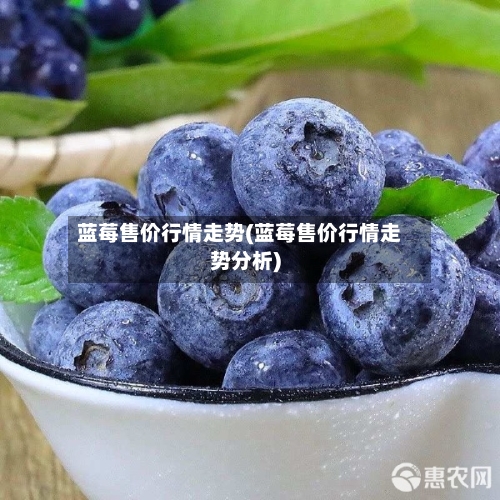 蓝莓售价行情走势(蓝莓售价行情走势分析)