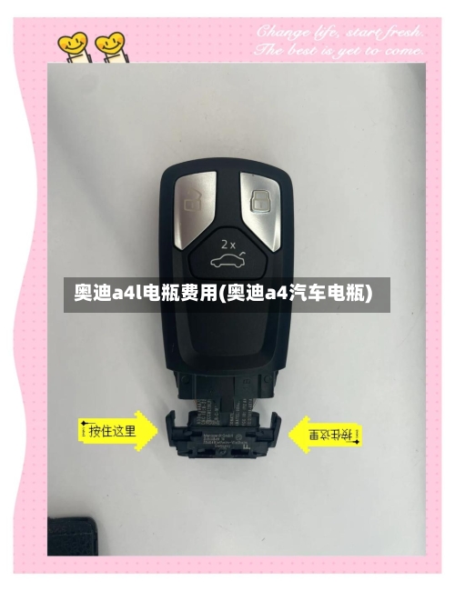奥迪a4l电瓶费用(奥迪a4汽车电瓶)-第3张图片