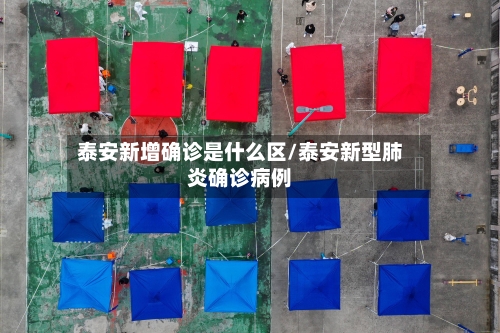 泰安新增确诊是什么区/泰安新型肺炎确诊病例-第2张图片
