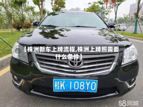 【株洲新车上牌流程,株洲上牌照需要什么条件】
