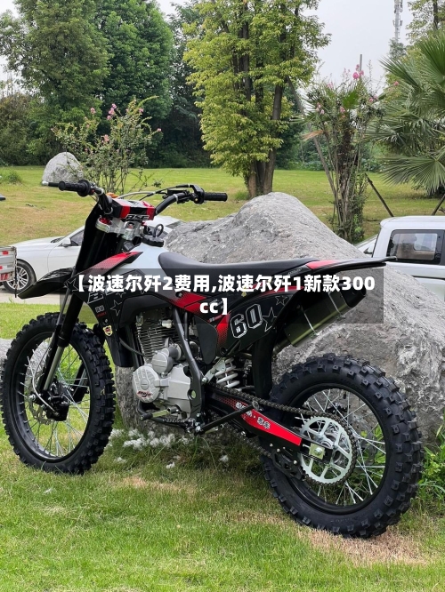 【波速尔歼2费用,波速尔歼1新款300cc】