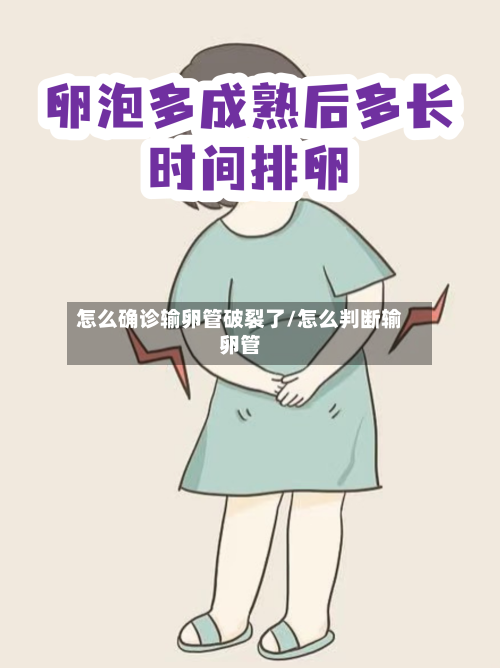 怎么确诊输卵管破裂了/怎么判断输卵管-第2张图片