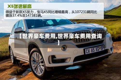 【世界豪车费用,世界豪车费用查询】-第2张图片