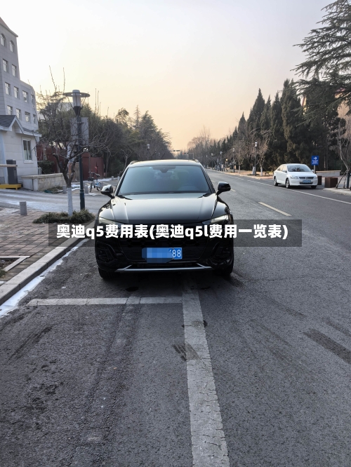 奥迪q5费用表(奥迪q5l费用一览表)