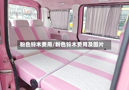 粉色铃木费用/粉色铃木费用及图片-第3张图片
