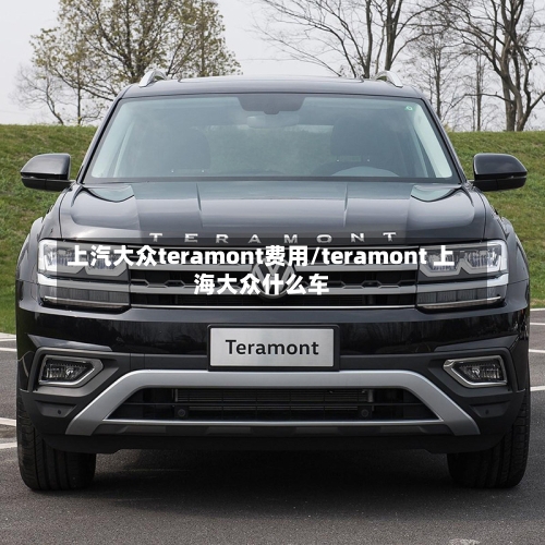 上汽大众teramont费用/teramont 上海大众什么车
