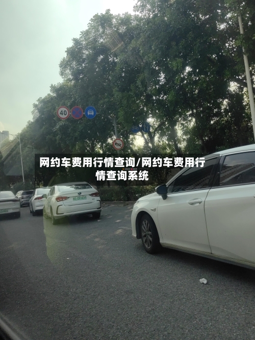 网约车费用行情查询/网约车费用行情查询系统