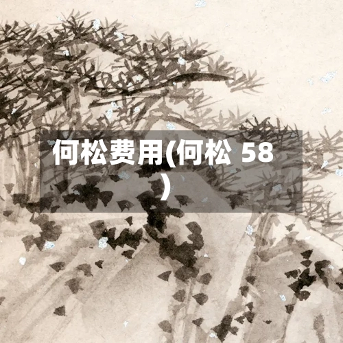 何松费用(何松 58)-第3张图片