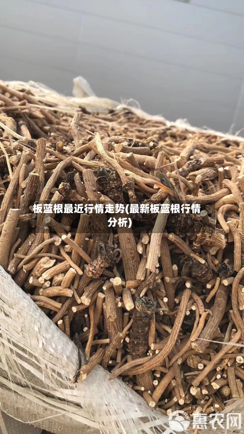 板蓝根最近行情走势(最新板蓝根行情分析)-第2张图片
