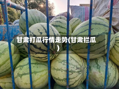 甘肃打瓜行情走势(甘肃拦瓜)-第2张图片