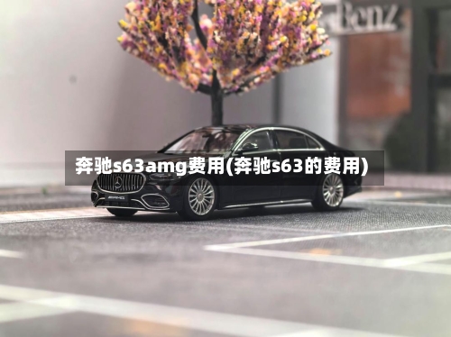 奔驰s63amg费用(奔驰s63的费用)