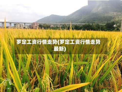 罗定工资行情走势(罗定工资行情走势最新)