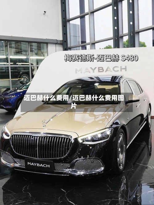 迈巴赫什么费用/迈巴赫什么费用图片-第2张图片
