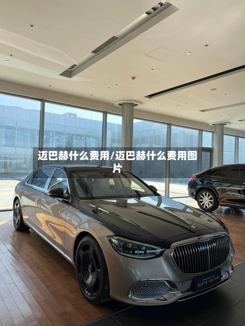 迈巴赫什么费用/迈巴赫什么费用图片