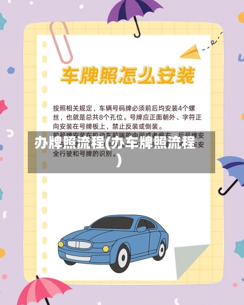 办牌照流程(办车牌照流程)-第3张图片