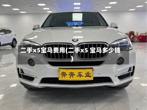 二手x5宝马费用(二手x5 宝马多少钱)-第3张图片
