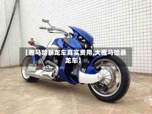 【雅马哈暴龙车真实费用,大雅马哈暴龙车】-第2张图片
