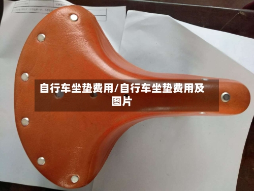 自行车坐垫费用/自行车坐垫费用及图片