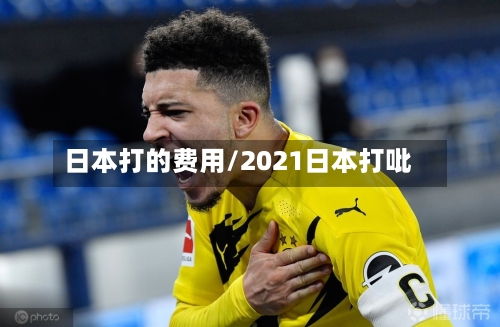 日本打的费用/2021日本打吡-第2张图片