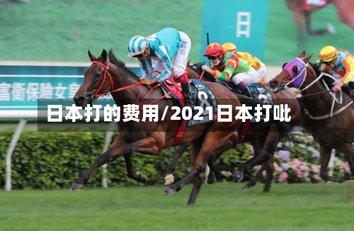日本打的费用/2021日本打吡
